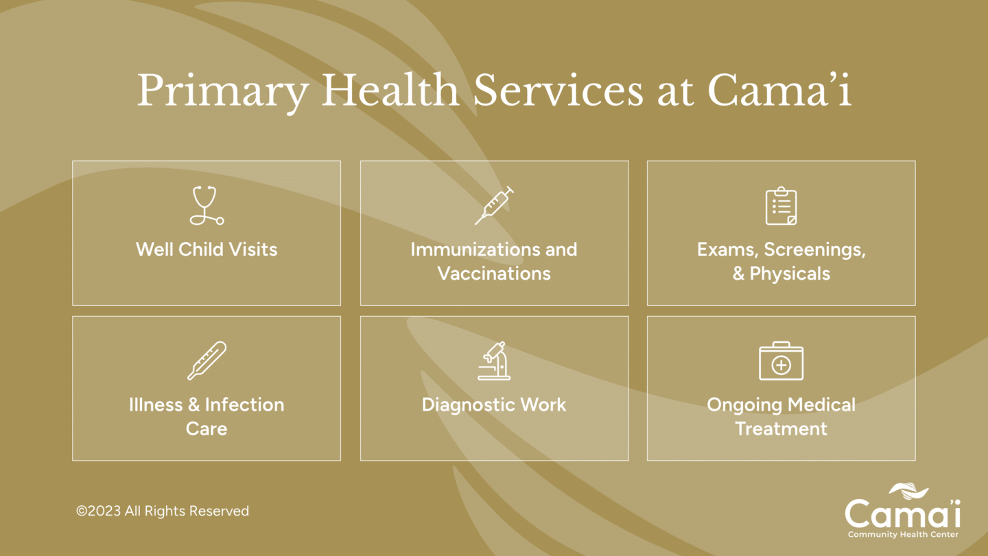 Primary health services at camai infographic