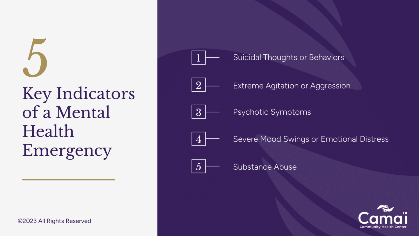 5 key indications of a mental health emergency infographic